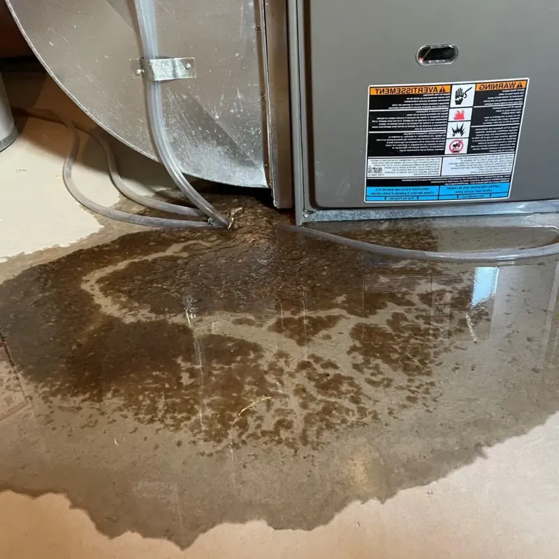 Pipe Burst and Leak Restoration in Medford, OK